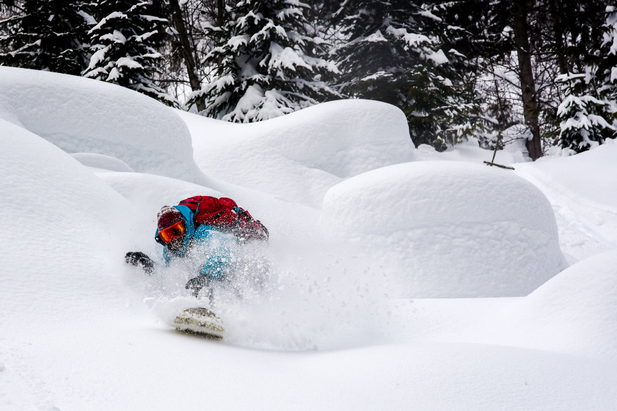 Snowboarder carving through deep powder snow in a winter forest.